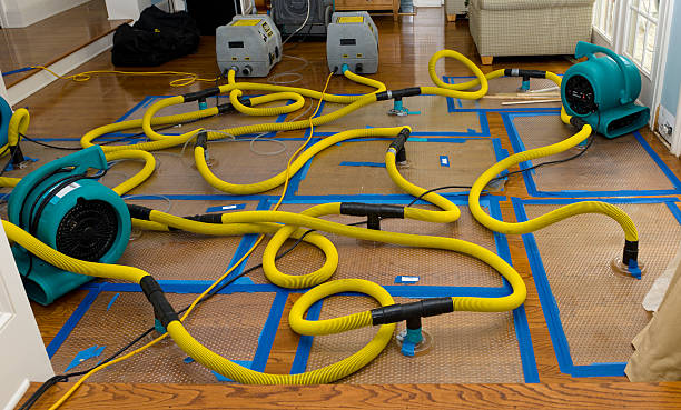 Professional Flood Damage Restoration technician working in Jarrettsville, MD